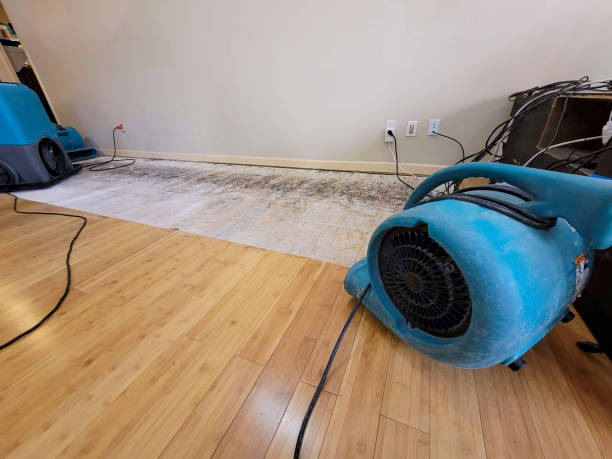 Professional Water Removal technician working in South Paris, ME